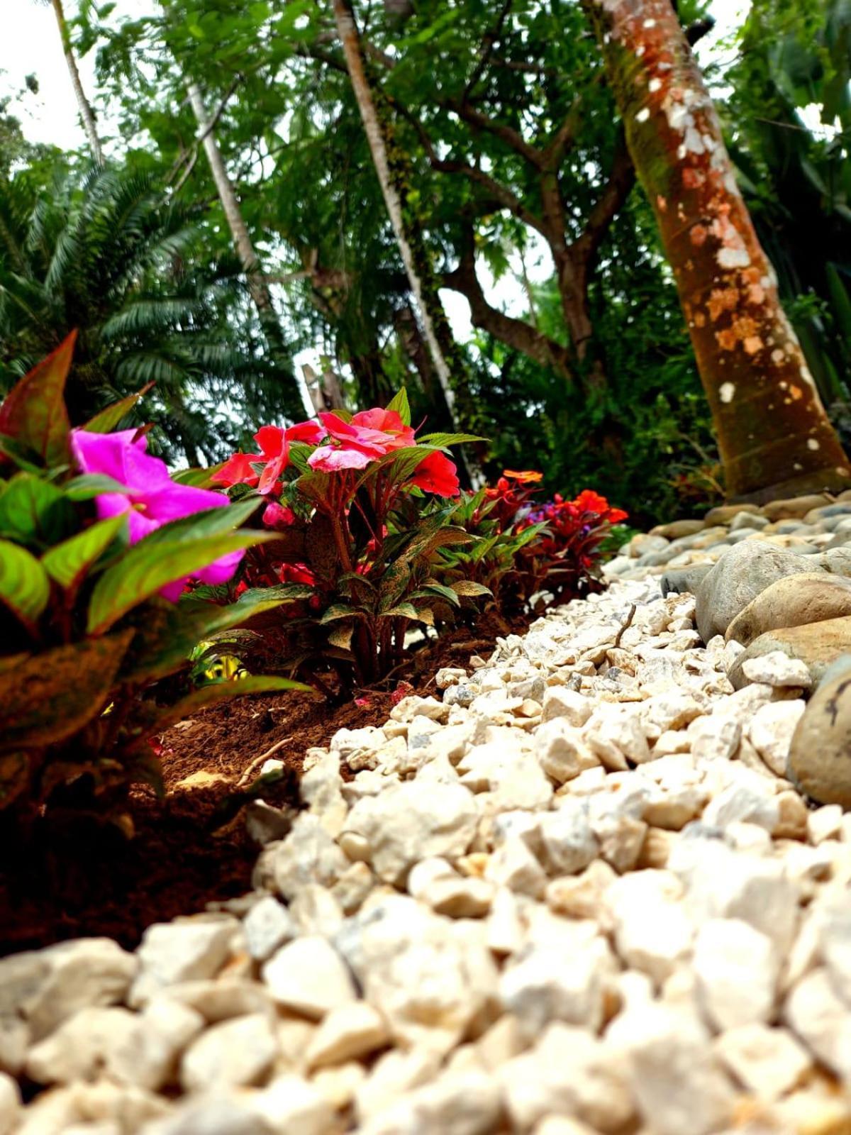 Diuwak Hotel Dominical Exterior foto
